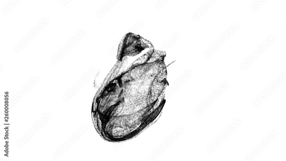 Poster 4k black particles move in a stream of liquid in front of the camera in slow motion. 3d ink effect f