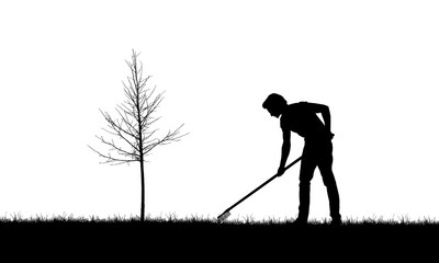 Fototapeta premium Realistic illustration with silhouette of a gardener man with rakes. Lawn and young tree without leaves, isolated on white background, vector