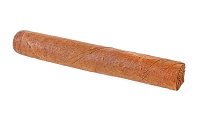 The big cigar isolated on a white background