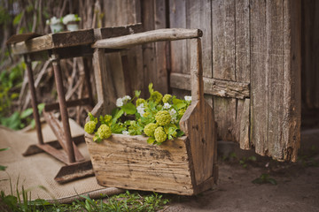 design of the photo zone in a rustic style, old wooden doors and boards with tools and spring flowers.