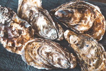 Raw oysters on the board