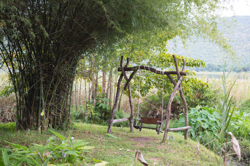 Swing under the bamboo tree - 260012032