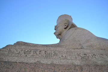 sphinx of saint-petersburg