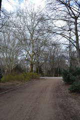 park road early spring