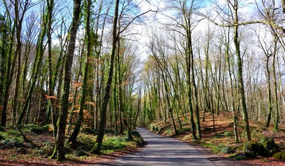 Obraz premium La Garrotxa Volcanic Zone Natural Park