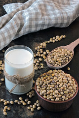 Soy milk. Soya beans. Vegan milk. Eco food. Healthy eating concept.