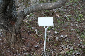 Park direction pointer without signs and symbols