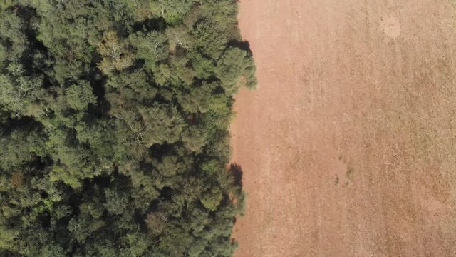 Aerial shot of a green forest beside a desert area due to deforestation