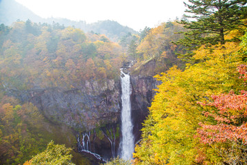 Fototapeta premium Japanese waterfall in autumn season with colorful tree leaves