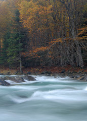 Landscapes of Ordesa in Autumn. Spain