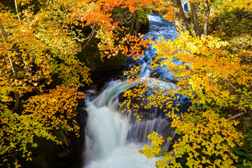 Serenity scene of Ryuzu waterfall in colorful leaf autumn season