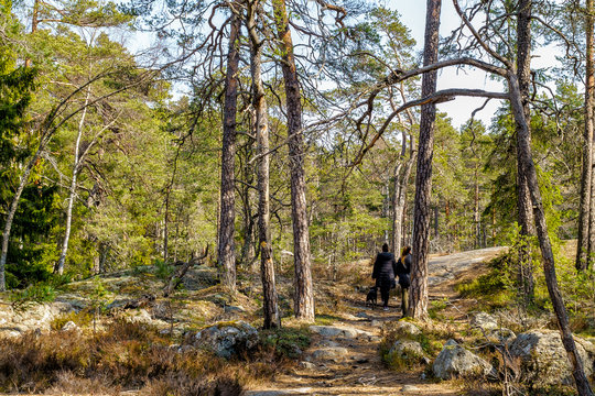 A walk a beautiful spring day in Tyresta National Park