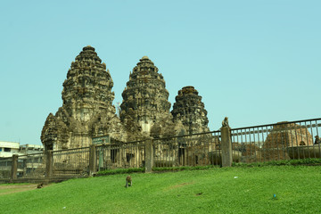 Affentempel und Affen in Lopburi, Thailand