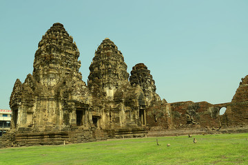 Affentempel und Affen in Lopburi, Thailand