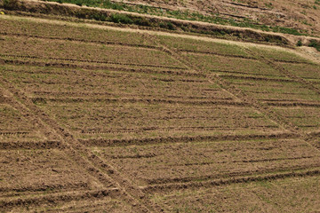 block pattern in a plowed field prepared for planting crops in spring season