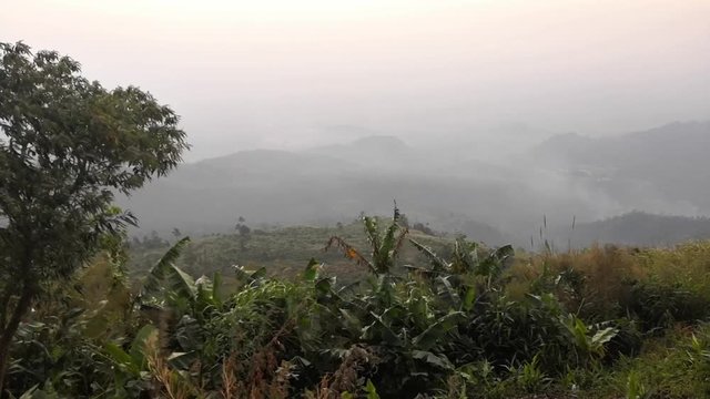 Strong wind blowing the trees on valley on rainy morning