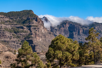 A rugged mountain landscape. There are steep cliffs with cloud spilling over the edge, and pine trees in the foreground. Taken on the island of Gran Canaria.