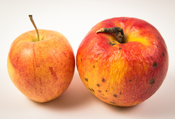 Fresh and old apple isolated on white background.