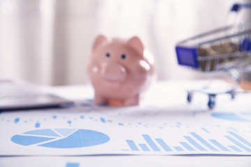 Piggy bank, financial graphs and shopping cart. Business concept