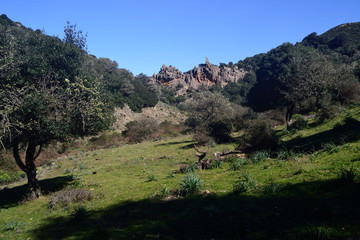 Il bosco di Tuviois