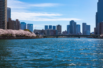 (東京都ｰ都市風景)ウォーターフロント新川沿いの風景３