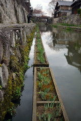 滋賀県近江八幡市の八幡堀の風景