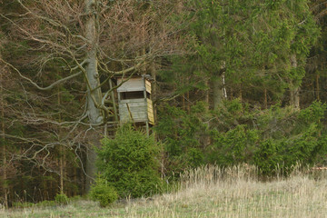 hunting cover from wooden in forest masking	