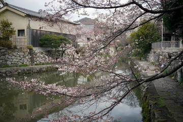滋賀県近江八幡市の八幡堀の風景