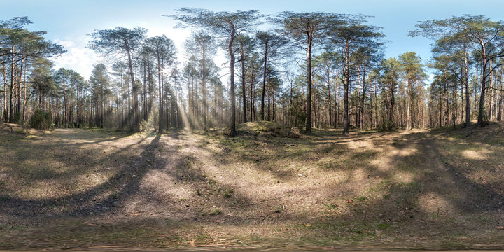 full spherical hdri panorama 360 degrees angle view on gravel pedestrian footpath and bicycle lane path in pinery forest in sunny spring day in equirectangular projection. VR AR content