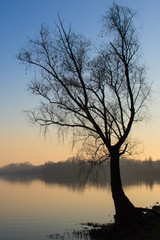Plakat Mantova lake at sunset