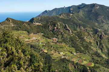 Fototapeta na wymiar Spectacular panorama view of forest covering atlantic island.
