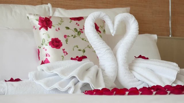Sliding right to left shot of white towel swans with red rose petals, white bedding and flower pillow on romantic room in hotel