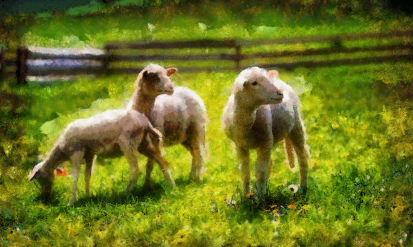 Little lambs grazing on a beautiful green meadow with dandelion. Computer painting effect.