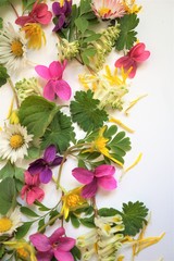 bouquet of flowers isolated on white