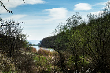 Lake and forest in early spring. Sumarice lake by the Kragujevac.