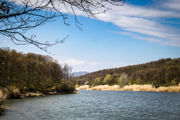 Lake and forest in early spring. Sumarice lake by the Kragujevac.