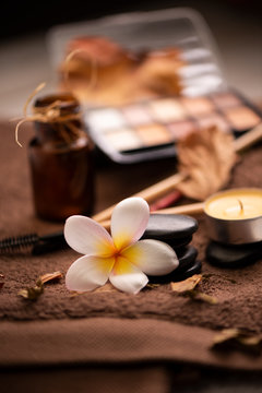 Professional makeup brushes and tools, natural make-up products set on white table with pomelia flower