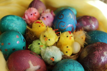 Fototapeta na wymiar easter eggs and chickens in nest