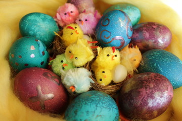 easter eggs on white background