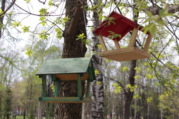 birdhouse on tree