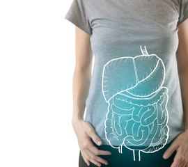 highlighted internal organs on healthy body