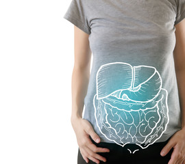 highlighted internal organs on healthy body