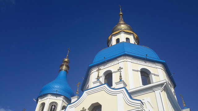 цветы природа весна 
