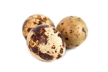 quail eggs isolated on white background. close up