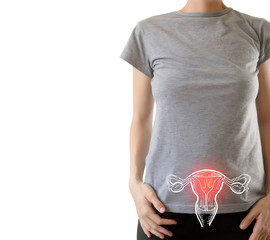 Female Reproductive System Anatomy