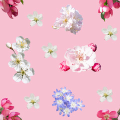 Spring flowers seamless background pattern