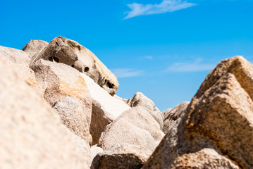 Fototapeta premium rocks and sky