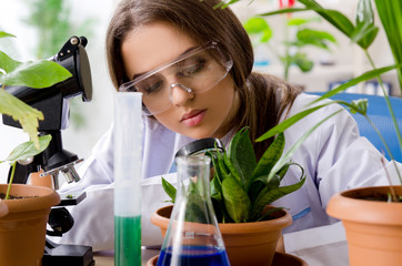 Young beautiful biotechnology chemist working in the lab 