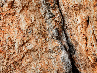 Rough stone texture.