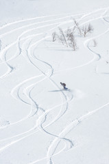 A snowboarder making a turn on a backcountry covered with fresh snow on a sunny morning